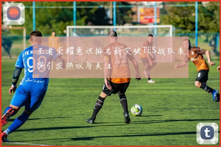 王者荣耀意识排名新突破TES战队表现引发热议与关注