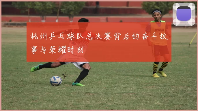 杭州乒乓球队总决赛背后的奋斗故事与荣耀时刻