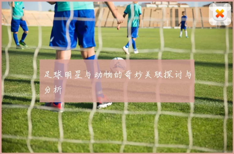 足球明星与动物的奇妙关联探讨与分析
