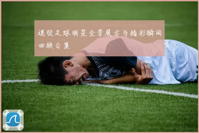 退役足球明星全景展示与精彩瞬间回顾合集