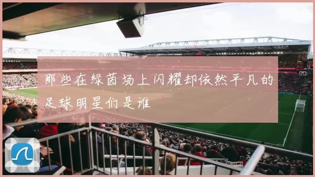那些在绿茵场上闪耀却依然平凡的足球明星们是谁