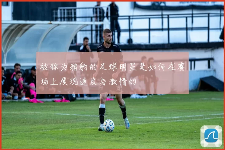 被称为猎豹的足球明星是如何在赛场上展现速度与激情的
