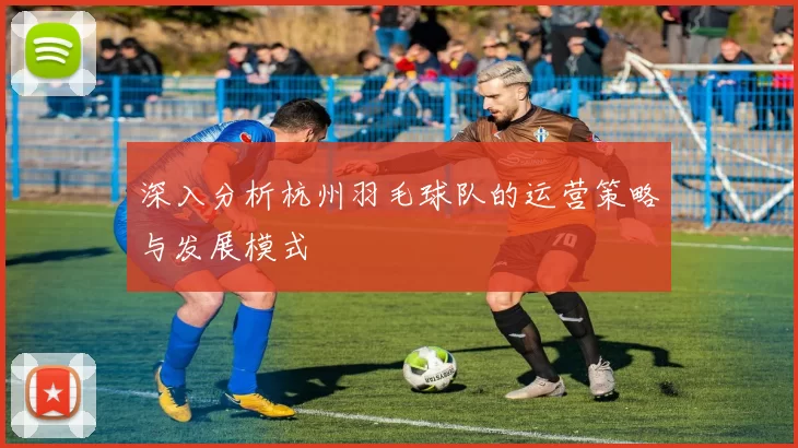 深入分析杭州羽毛球队的运营策略与发展模式