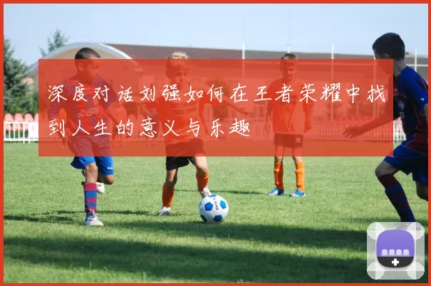 深度对话刘强如何在王者荣耀中找到人生的意义与乐趣