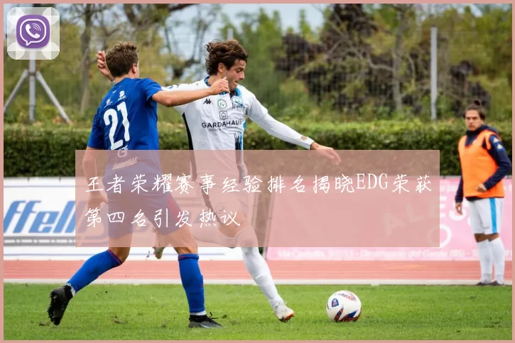 王者荣耀赛事经验排名揭晓EDG荣获第四名引发热议