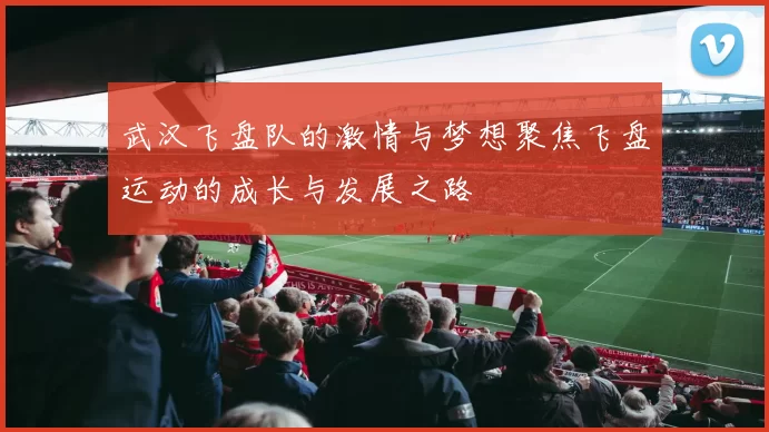 武汉飞盘队的激情与梦想聚焦飞盘运动的成长与发展之路