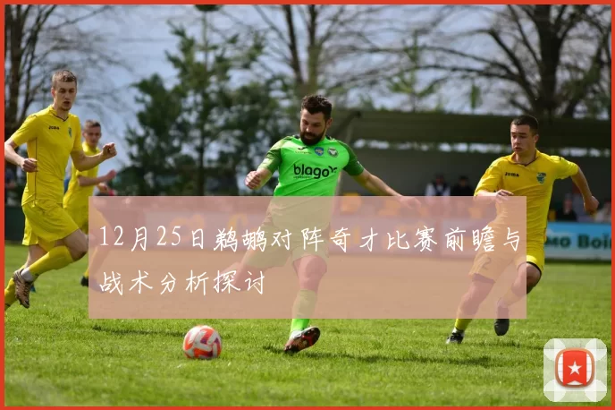 12月25日鹈鹕对阵奇才比赛前瞻与战术分析探讨