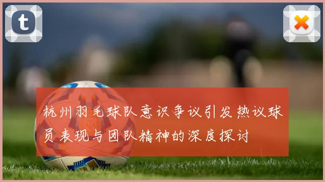 杭州羽毛球队意识争议引发热议球员表现与团队精神的深度探讨