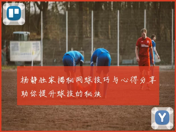 杨静独家揭秘网球技巧与心得分享助你提升球技的秘诀