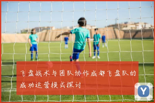 飞盘战术与团队协作成都飞盘队的成功运营模式探讨