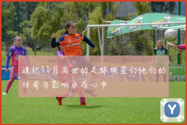 追忆11月离世的足球明星们他们的传奇与影响永存心中