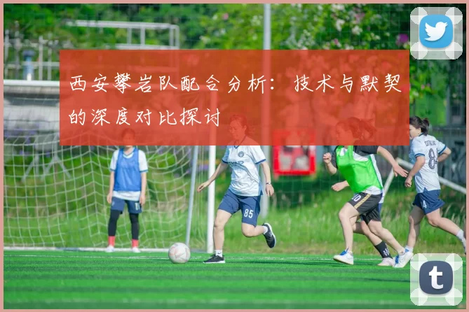 西安攀岩队配合分析：技术与默契的深度对比探讨