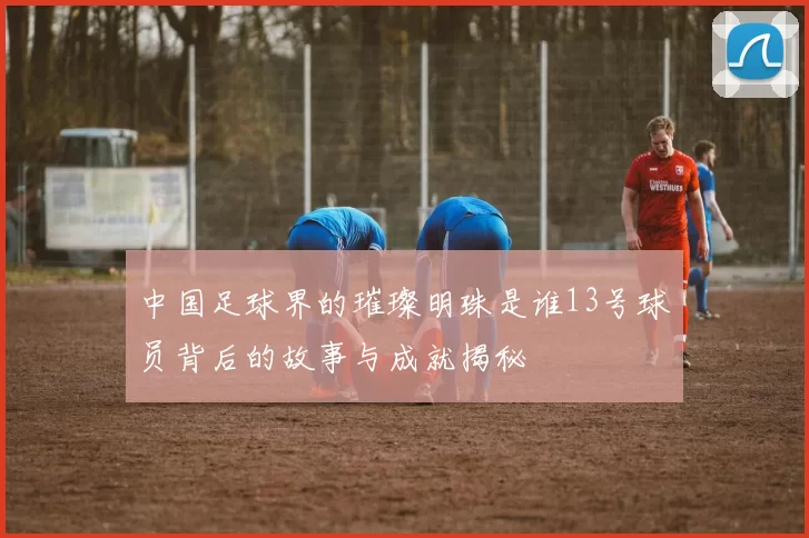中国足球界的璀璨明珠是谁13号球员背后的故事与成就揭秘