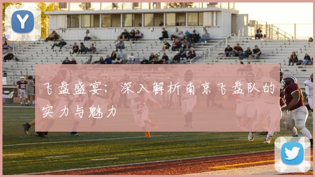 飞盘盛宴：深入解析南京飞盘队的实力与魅力