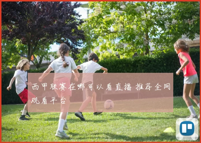 西甲联赛在哪可以看直播 推荐全网观看平台