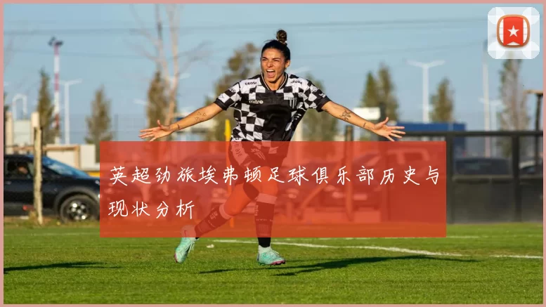 英超劲旅埃弗顿足球俱乐部历史与现状分析