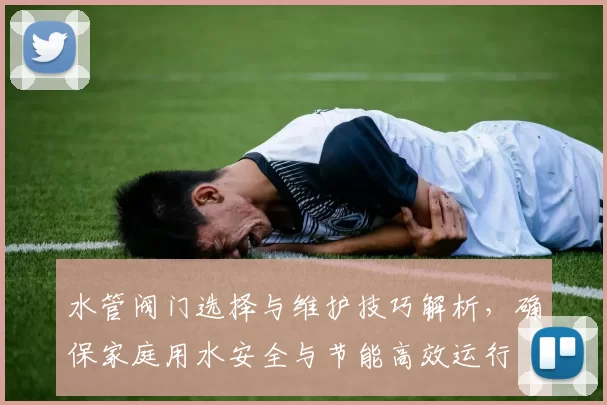 水管阀门选择与维护技巧解析，确保家庭用水安全与节能高效运行