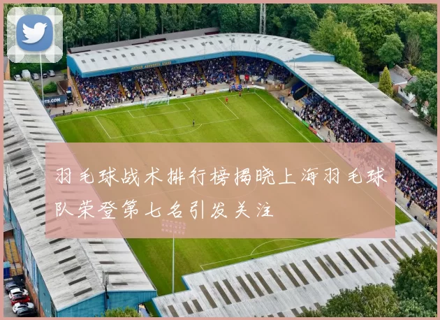 羽毛球战术排行榜揭晓上海羽毛球队荣登第七名引发关注