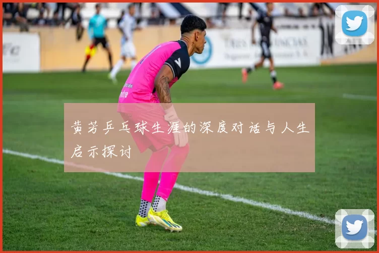 黄芳乒乓球生涯的深度对话与人生启示探讨