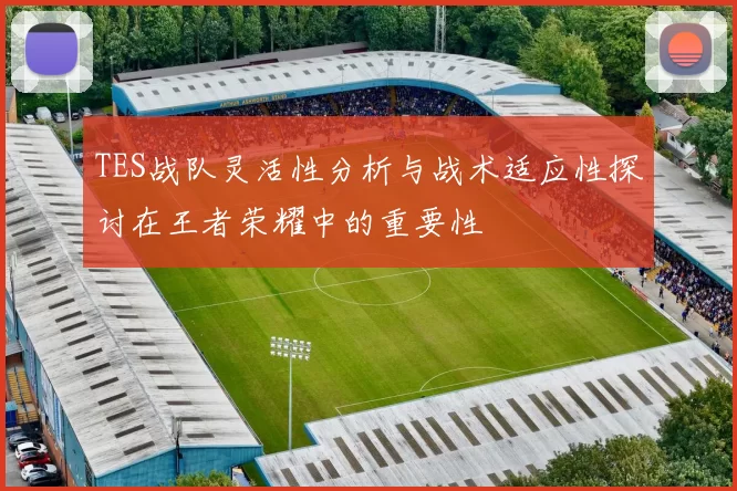 TES战队灵活性分析与战术适应性探讨在王者荣耀中的重要性