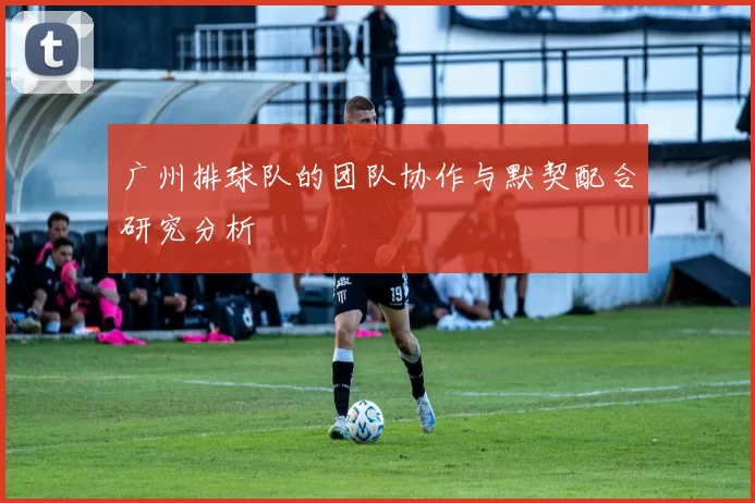 广州排球队的团队协作与默契配合研究分析