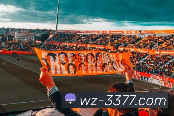 3377体育平台生态图