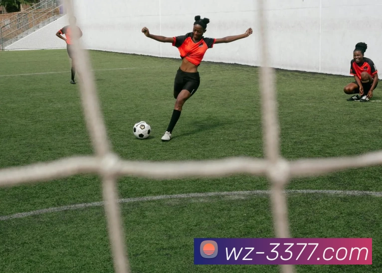 3377体育APP 封面图